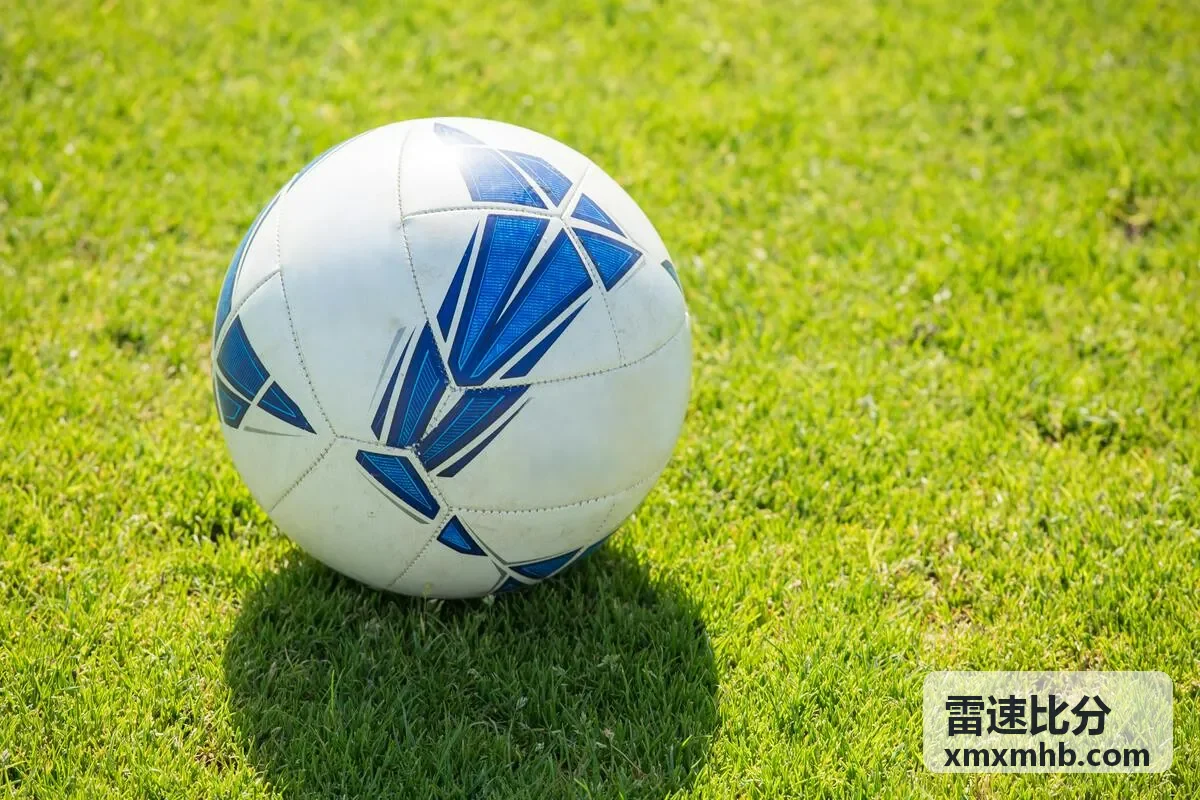 雷速比分数据可视化